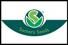 somers
